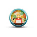 WordPress Programmer