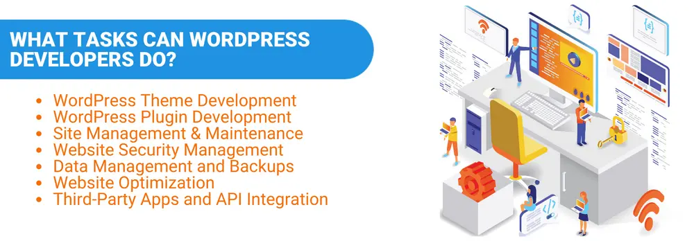 wordpress-developer-3 wordpress-developer-3